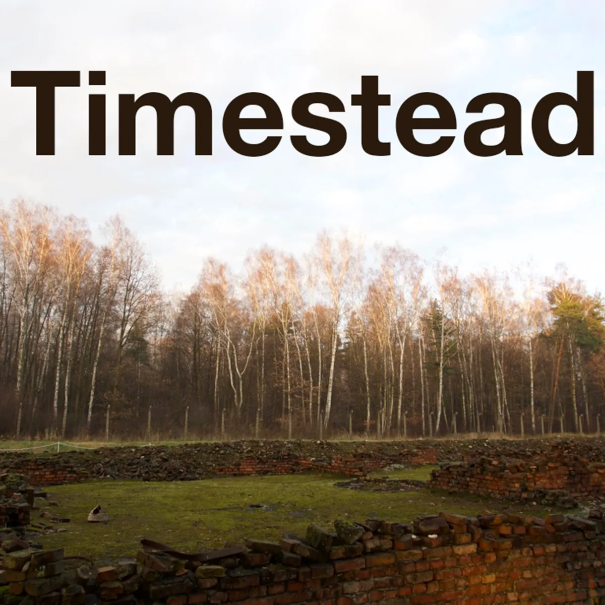 Timestead cover